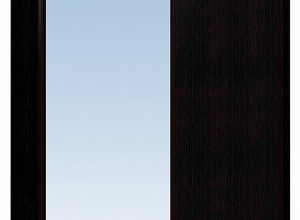 Шкаф-купе 1600 Домашний зеркало/лдсп + шлегель, Венге