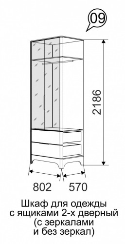 Шкаф для одежды с ящиками 2-х дверный (с зеркалом) Ижмебель Танго 09