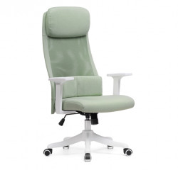 Кресло компьютерное Woodville Salta (светло-зеленый/белый)